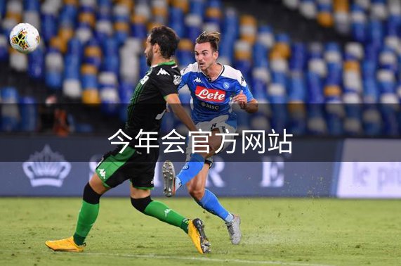 网站介绍