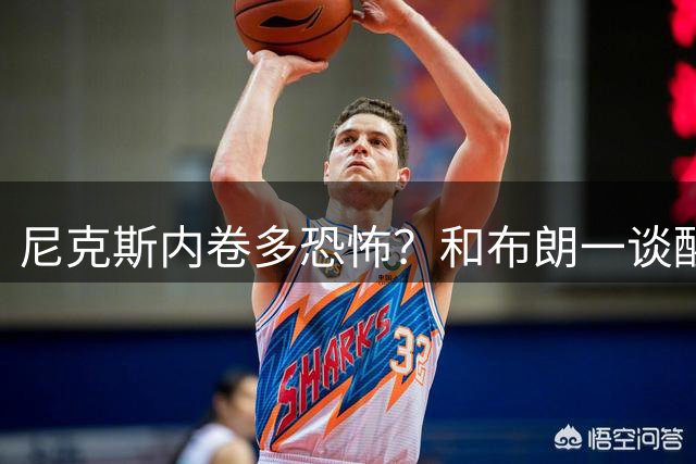 尼克斯内卷多恐怖？和布朗一谈醒悟，亚布塞莱离开NBA原因太扎心