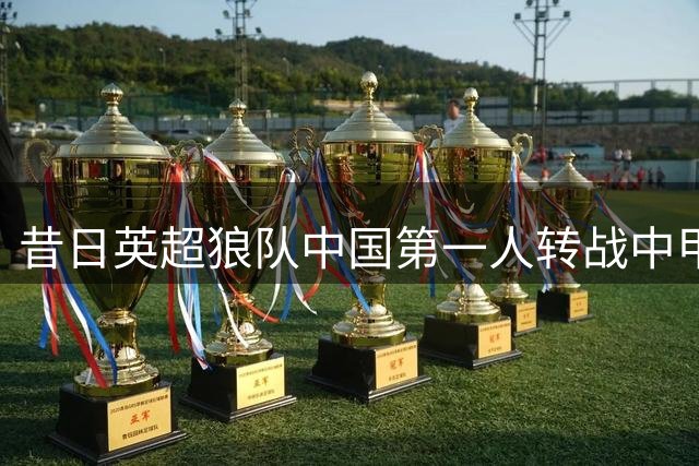 昔日英超狼队中国第一人转战中甲 25岁锋线多面手能否重获新生？